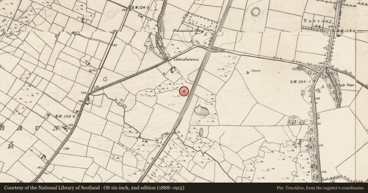 Ordnance Survey six-inch map, 2nd edition (1888–1915) covering the location of Ringfort - cashel, Cloonnahaha, County Galway, with a pin at the register's coordinates