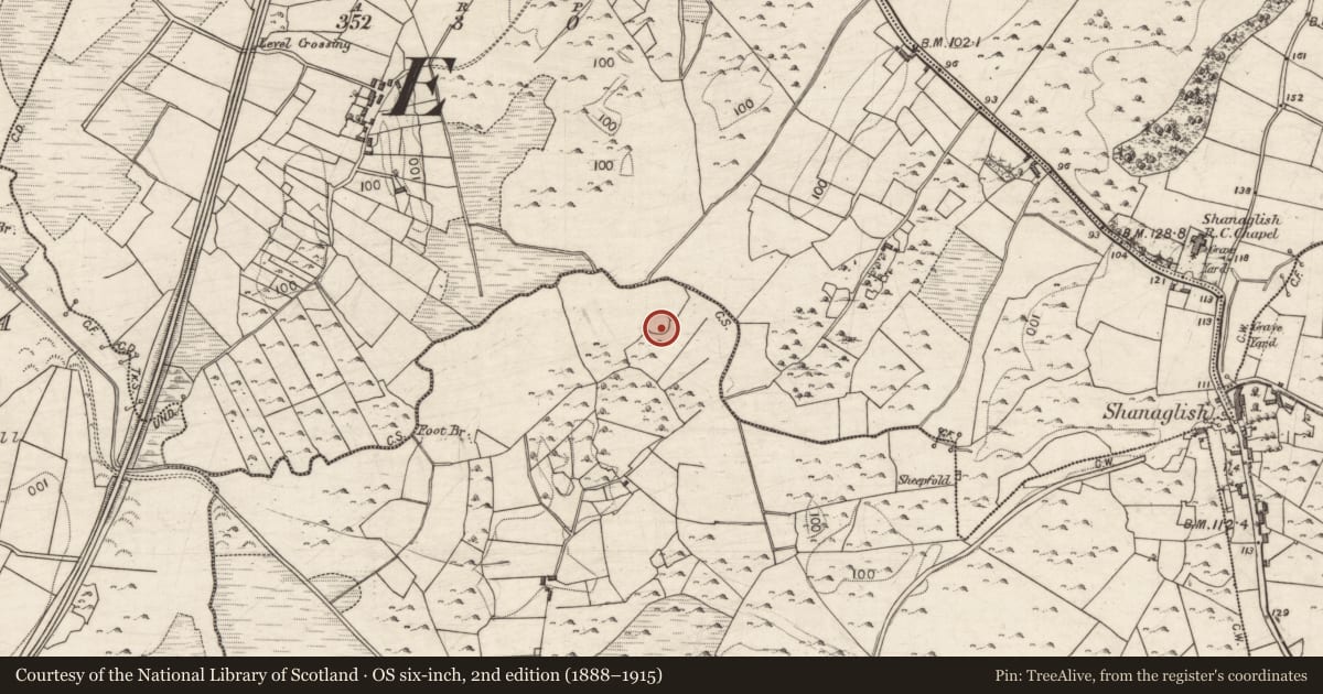 Ordnance Survey six-inch map, 2nd edition (1888–1915) covering the location of House - indeterminate date, Cregboy, County Galway, with a pin at the register's coordinates