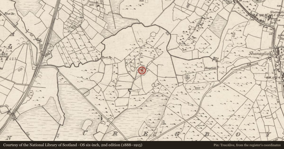 Ordnance Survey six-inch map, 2nd edition (1888–1915) covering the location of Ringfort - cashel, Cregboy, County Galway, with a pin at the register's coordinates