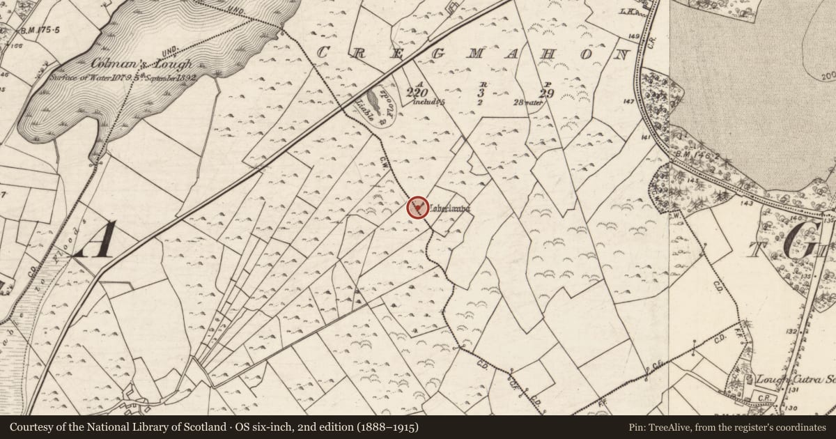 Ordnance Survey six-inch map, 2nd edition (1888–1915) covering the location of Ritual site - holy well, Cregmahon, County Galway, with a pin at the register's coordinates