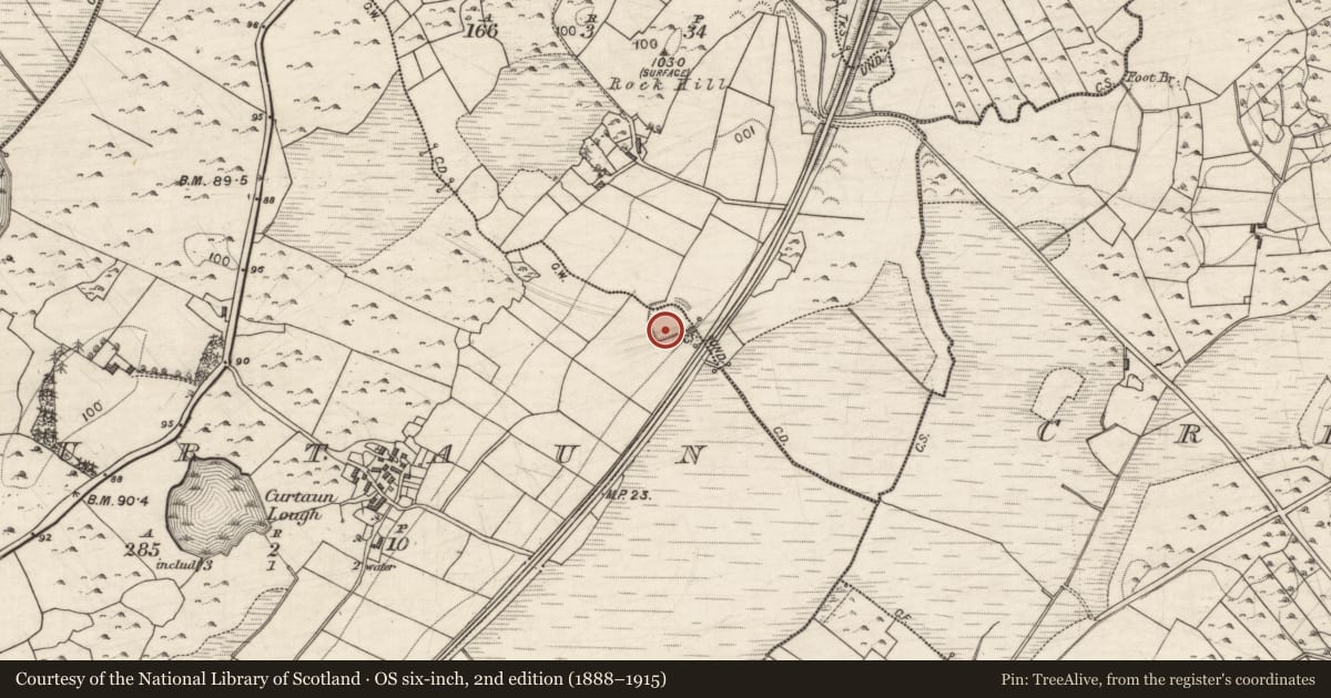 Ordnance Survey six-inch map, 2nd edition (1888–1915) covering the location of Ringfort - unclassified, Curtaun, Lurga, County Galway, with a pin at the register's coordinates