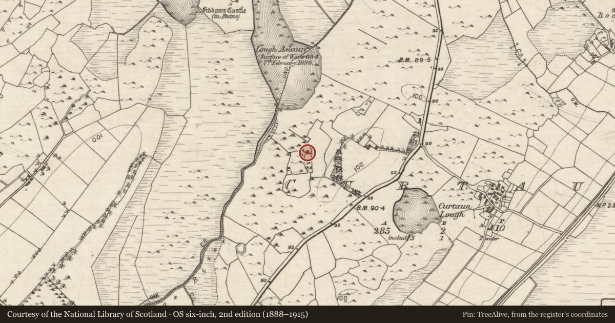 Ordnance Survey six-inch map, 2nd edition (1888–1915) covering the location of Ringfort - rath, Curtaun, County Galway, with a pin at the register's coordinates