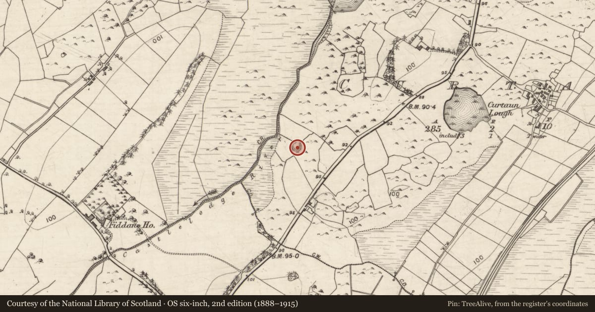 Ordnance Survey six-inch map, 2nd edition (1888–1915) covering the location of Ringfort - cashel, Curtaun, County Galway, with a pin at the register's coordinates