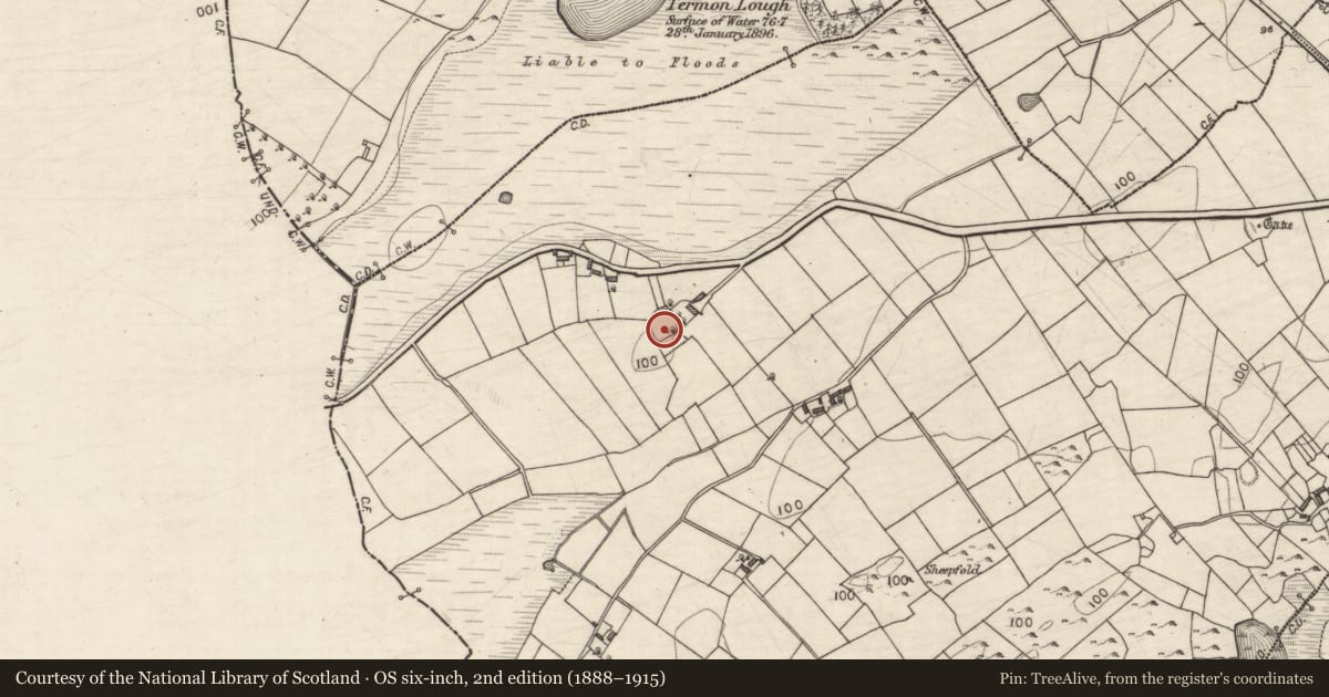 Ordnance Survey six-inch map, 2nd edition (1888–1915) covering the location of Ringfort - rath, Fiddaun, County Galway, with a pin at the register's coordinates