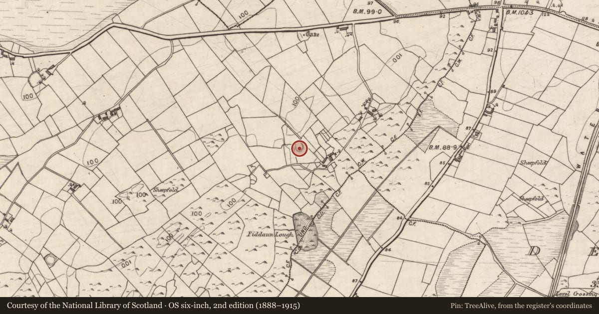 Ordnance Survey six-inch map, 2nd edition (1888–1915) covering the location of Ringfort - rath, Fiddaun, County Galway, with a pin at the register's coordinates