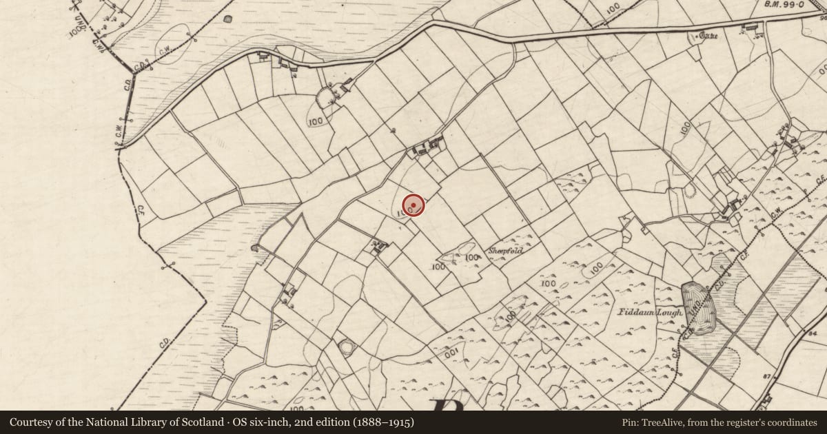 Ordnance Survey six-inch map, 2nd edition (1888–1915) covering the location of Ringfort - rath, Fiddaun, County Galway, with a pin at the register's coordinates