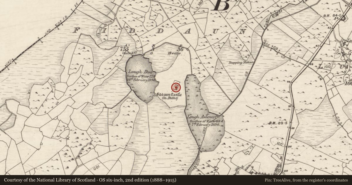 Ordnance Survey six-inch map, 2nd edition (1888–1915) covering the location of Bawn, Fiddaun, County Galway, with a pin at the register's coordinates