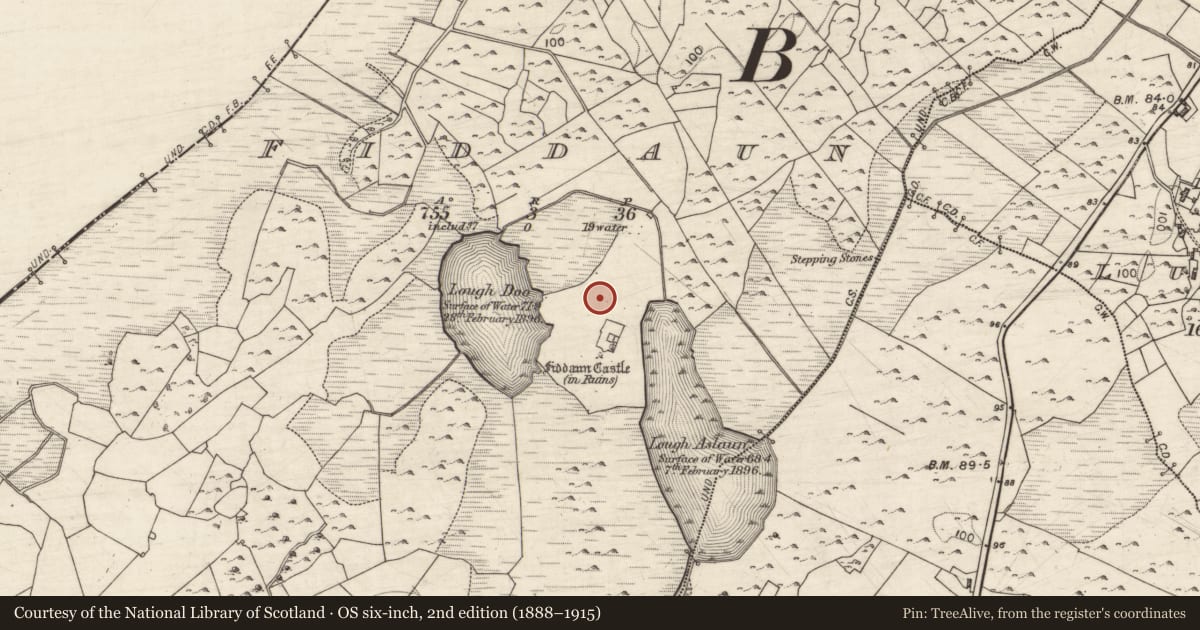 Ordnance Survey six-inch map, 2nd edition (1888–1915) covering the location of Bawn, Fiddaun, County Galway, with a pin at the register's coordinates