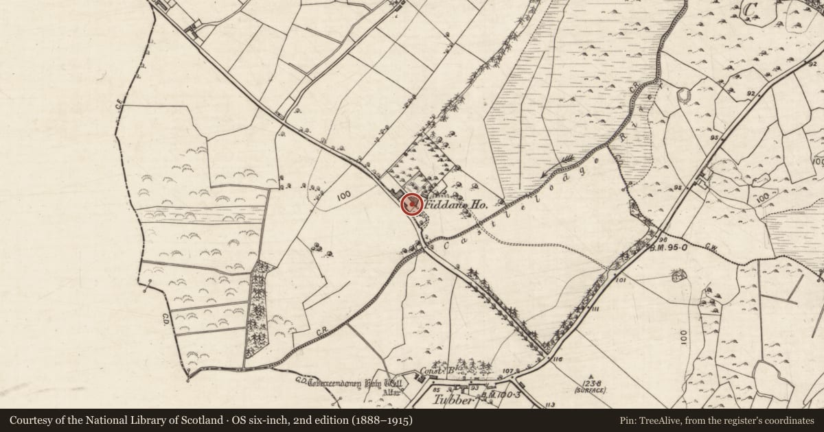 Ordnance Survey six-inch map, 2nd edition (1888–1915) covering the location of Country house, Fiddaun, County Galway, with a pin at the register's coordinates