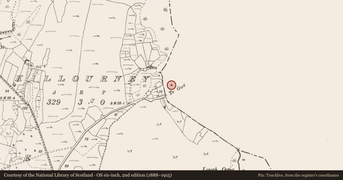 Ordnance Survey six-inch map, 2nd edition (1888–1915) covering the location of Ritual site - holy well, Gortnacullia, County Galway, with a pin at the register's coordinates