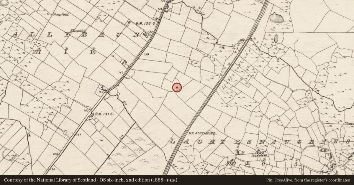 Ordnance Survey six-inch map, 2nd edition (1888–1915) covering the location of Ringfort - cashel, Laghtyshaughnessy, County Galway, with a pin at the register's coordinates