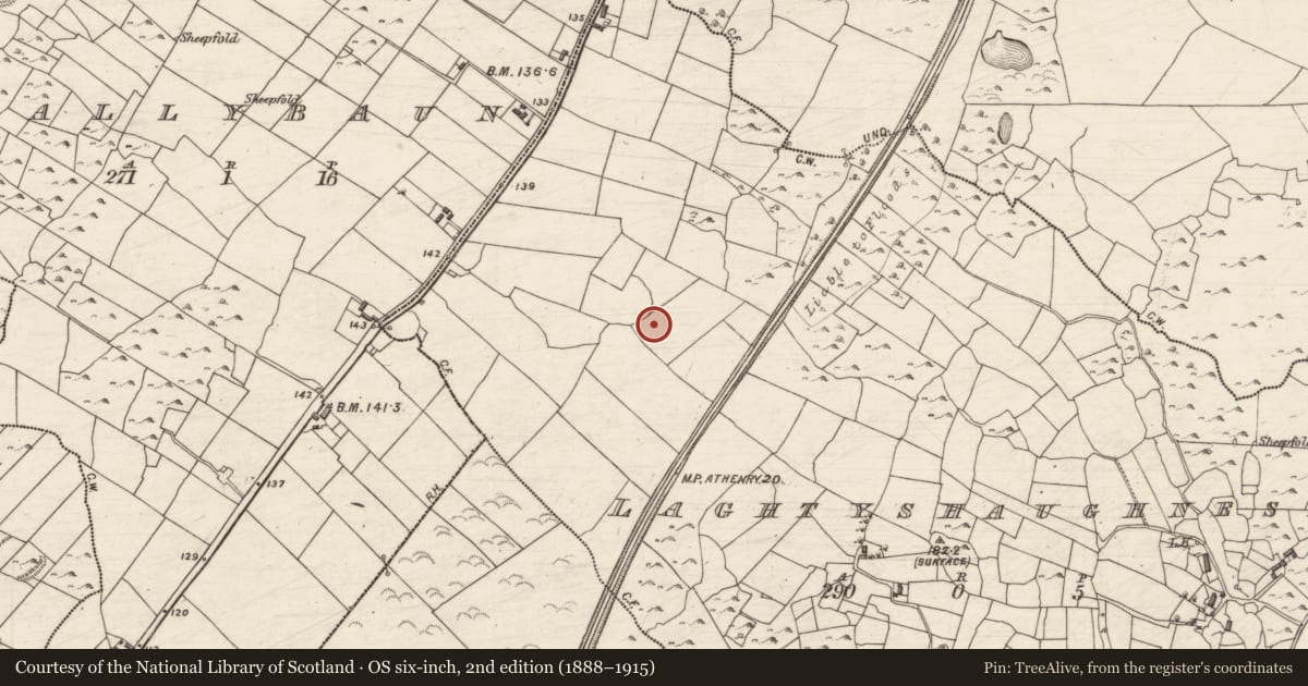 Ordnance Survey six-inch map, 2nd edition (1888–1915) covering the location of Well, Laghtyshaughnessy, County Galway, with a pin at the register's coordinates