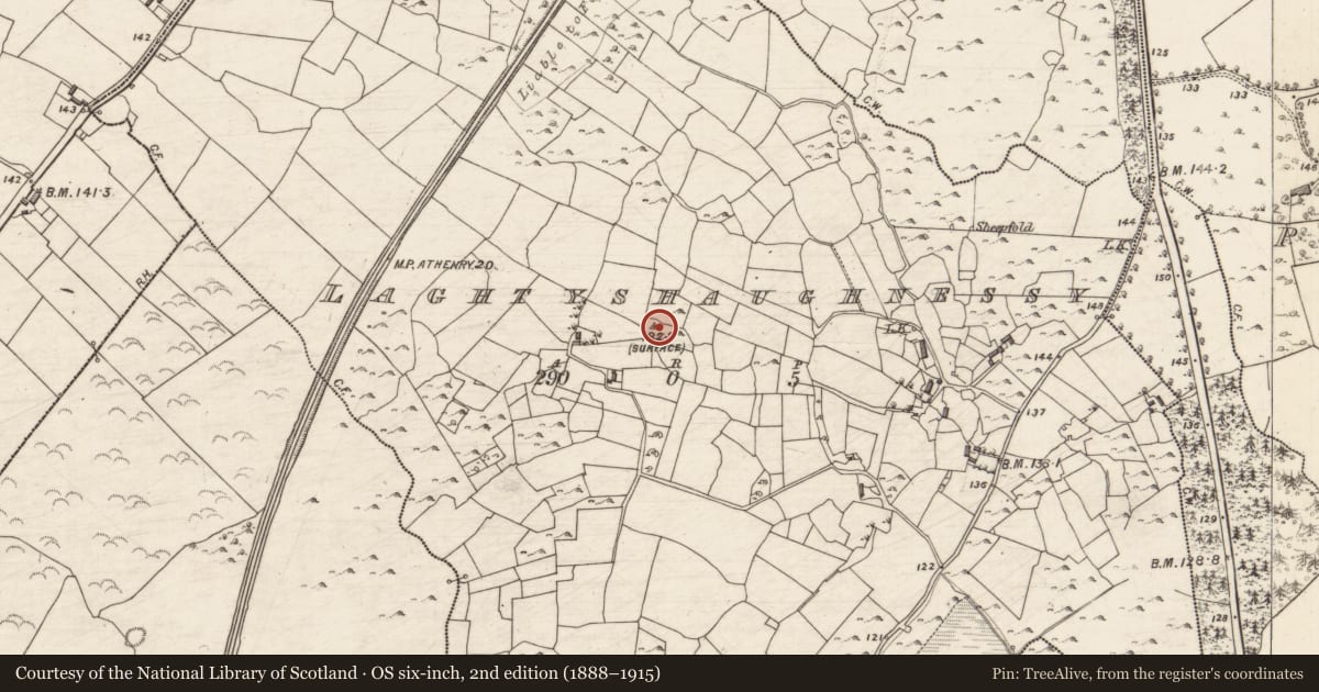 Ordnance Survey six-inch map, 2nd edition (1888–1915) covering the location of Ringfort - cashel, Laghtyshaughnessy, County Galway, with a pin at the register's coordinates