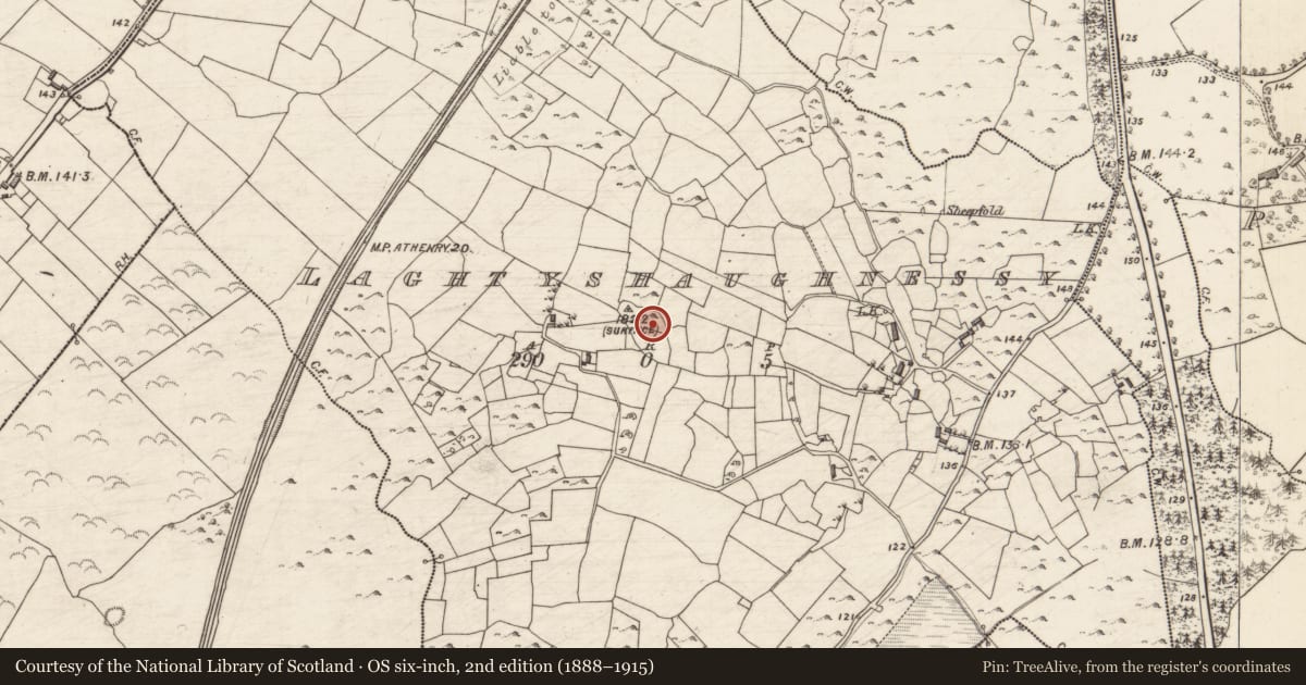 Ordnance Survey six-inch map, 2nd edition (1888–1915) covering the location of Field system, Laghtyshaughnessy, County Galway, with a pin at the register's coordinates
