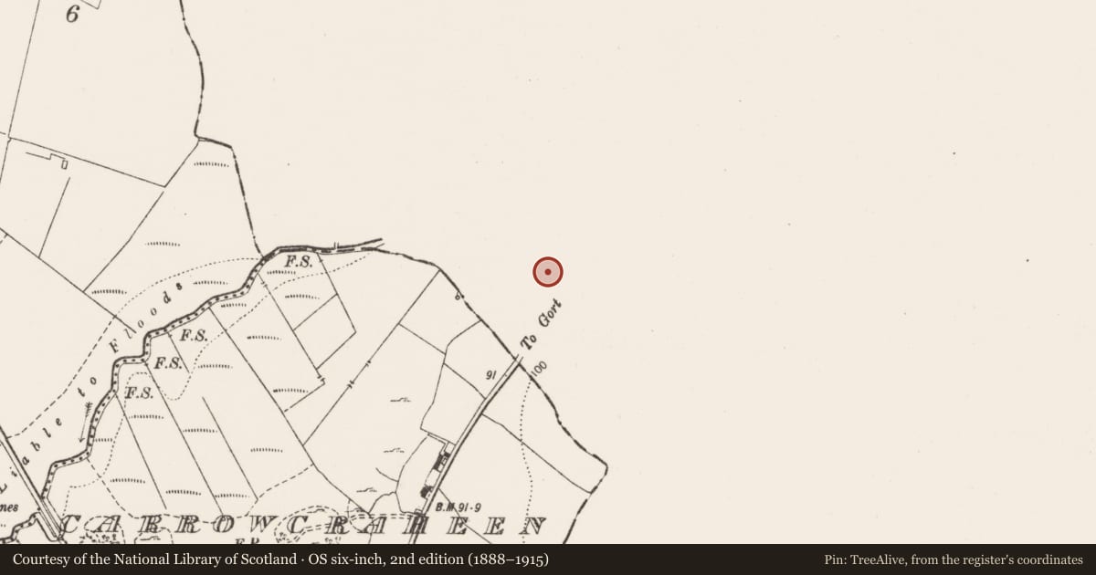 Ordnance Survey six-inch map, 2nd edition (1888–1915) covering the location of Ritual site - holy well, Rathwilladoon, County Galway, with a pin at the register's coordinates