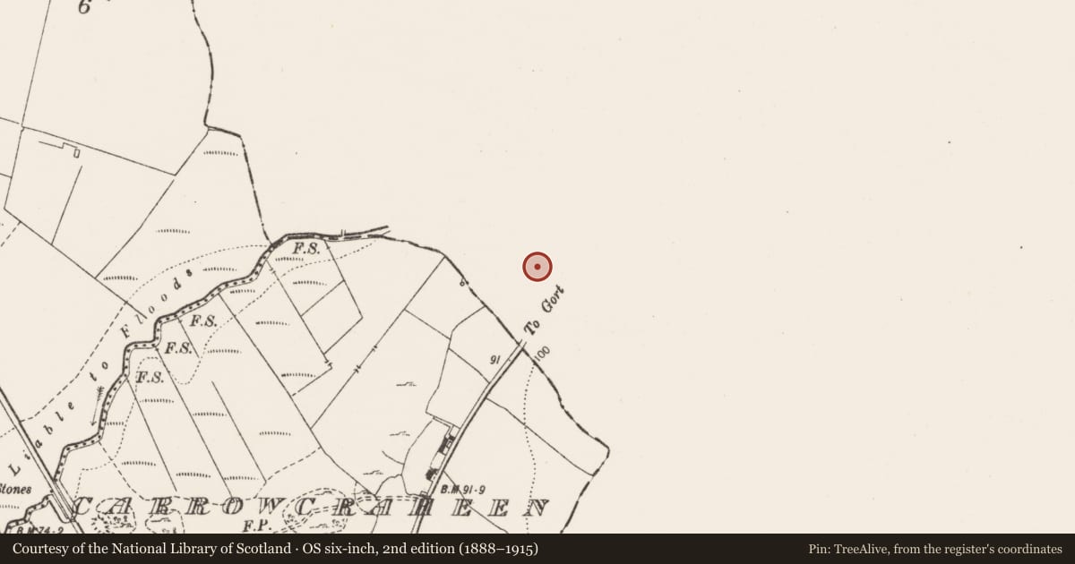 Ordnance Survey six-inch map, 2nd edition (1888–1915) covering the location of Building, Rathwilladoon, County Galway, with a pin at the register's coordinates