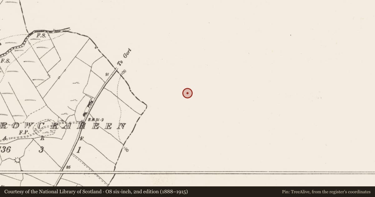 Ordnance Survey six-inch map, 2nd edition (1888–1915) covering the location of Ringfort - rath, Rathwilladoon, County Galway, with a pin at the register's coordinates