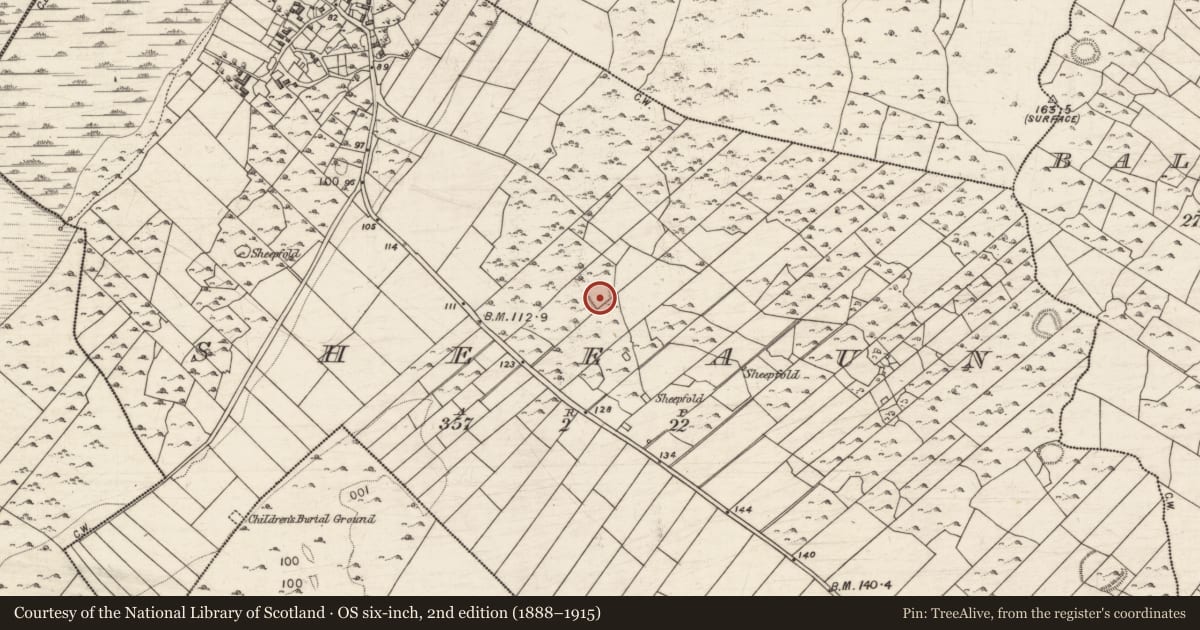 Ordnance Survey six-inch map, 2nd edition (1888–1915) covering the location of Ringfort - cashel, Sheeaun, County Galway, with a pin at the register's coordinates