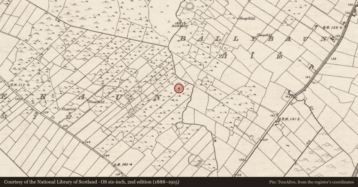 Ordnance Survey six-inch map, 2nd edition (1888–1915) covering the location of Ringfort - cashel, Sheeaun, County Galway, with a pin at the register's coordinates
