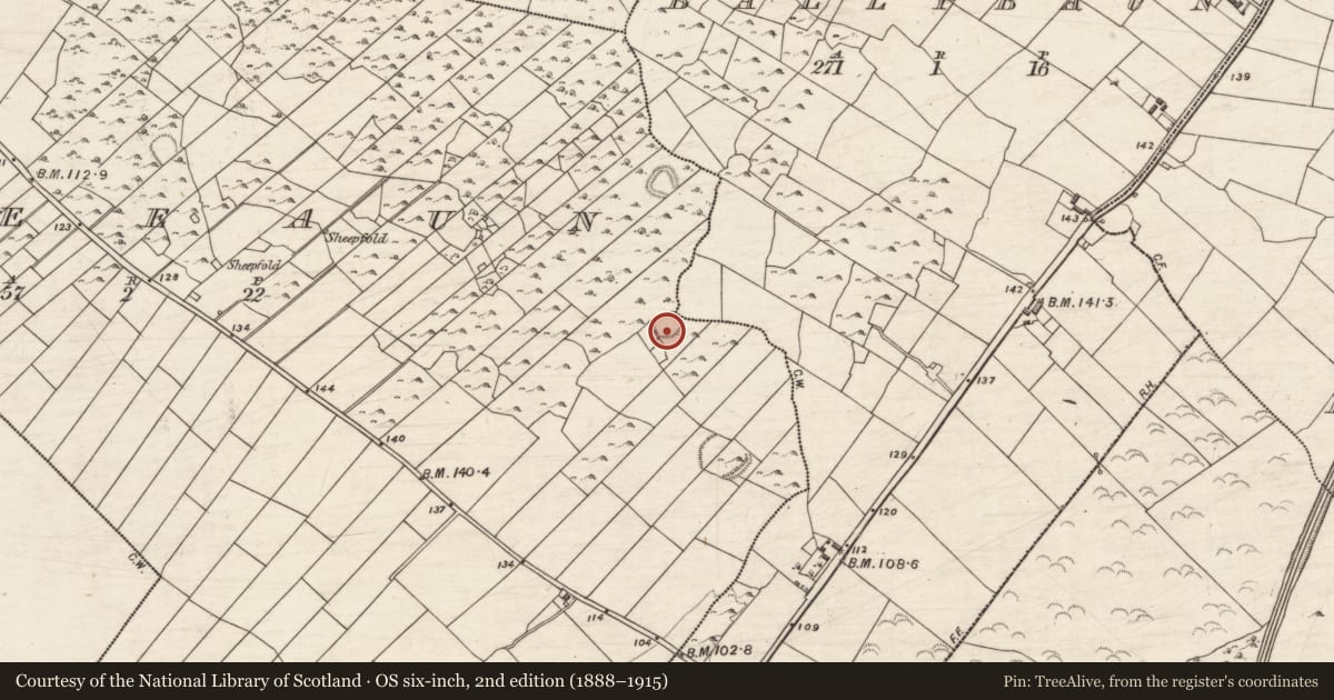 Ordnance Survey six-inch map, 2nd edition (1888–1915) covering the location of Souterrain, Sheeaun, County Galway, with a pin at the register's coordinates