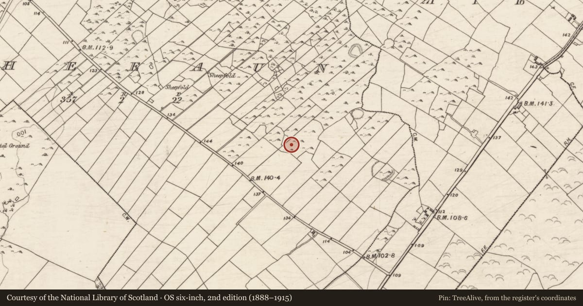 Ordnance Survey six-inch map, 2nd edition (1888–1915) covering the location of Cairn - unclassified, Sheeaun, County Galway, with a pin at the register's coordinates