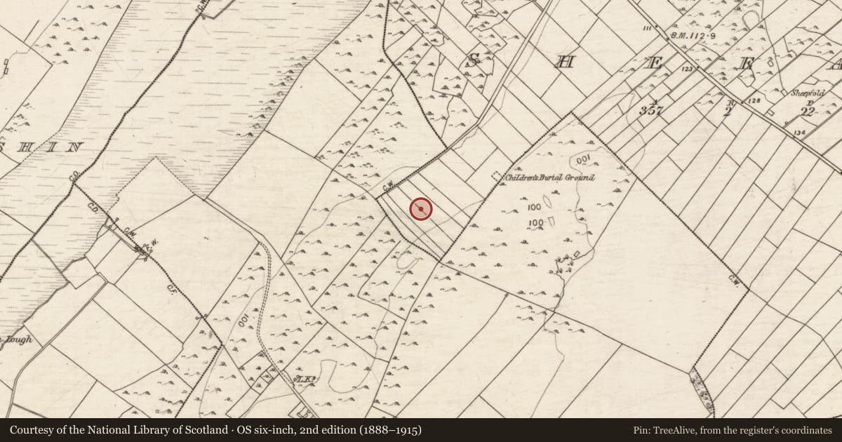 Ordnance Survey six-inch map, 2nd edition (1888–1915) covering the location of Ringfort - cashel, Sheeaun, County Galway, with a pin at the register's coordinates
