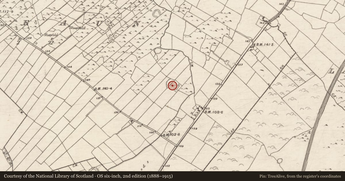 Ordnance Survey six-inch map, 2nd edition (1888–1915) covering the location of Ringfort - rath, Sheeaun, County Galway, with a pin at the register's coordinates