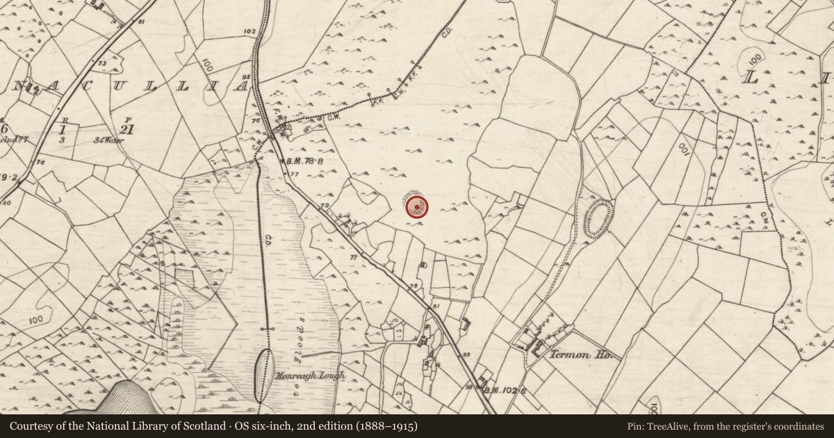 Ordnance Survey six-inch map, 2nd edition (1888–1915) covering the location of Ringfort - cashel, Termon, County Galway, with a pin at the register's coordinates