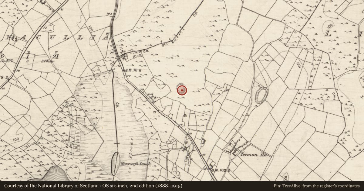 Ordnance Survey six-inch map, 2nd edition (1888–1915) covering the location of Souterrain, Termon, County Galway, with a pin at the register's coordinates
