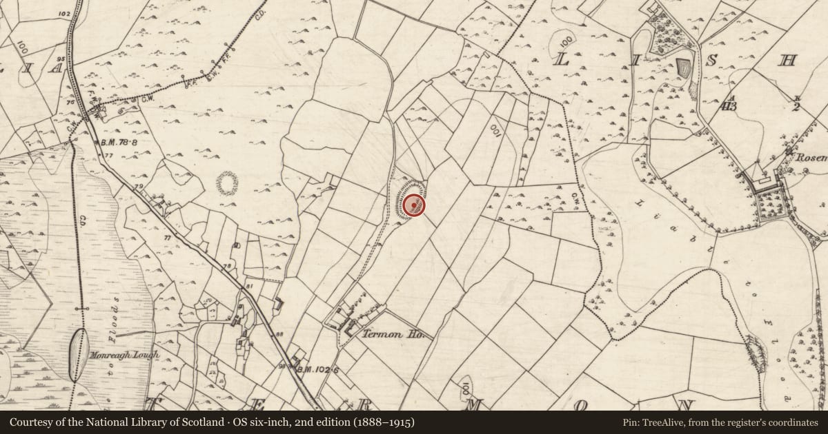Ordnance Survey six-inch map, 2nd edition (1888–1915) covering the location of Enclosure, Termon, County Galway, with a pin at the register's coordinates