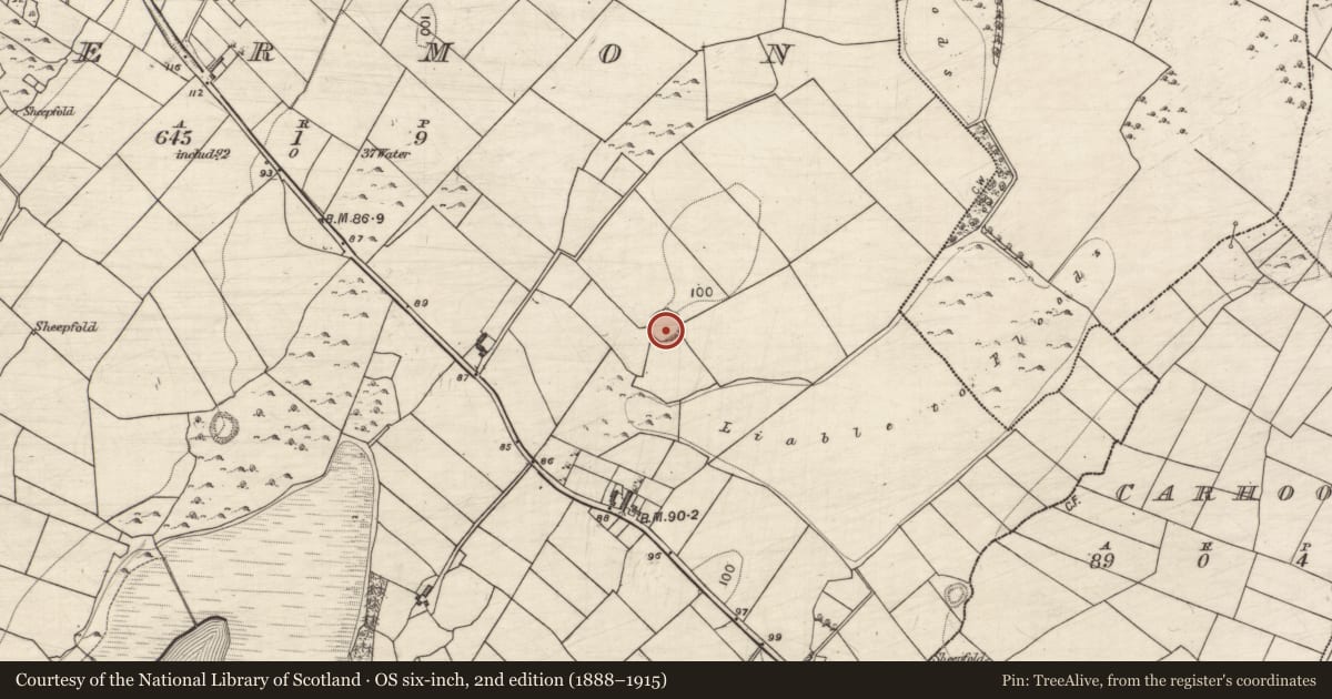 Ordnance Survey six-inch map, 2nd edition (1888–1915) covering the location of Ringfort - cashel, Termon, County Galway, with a pin at the register's coordinates