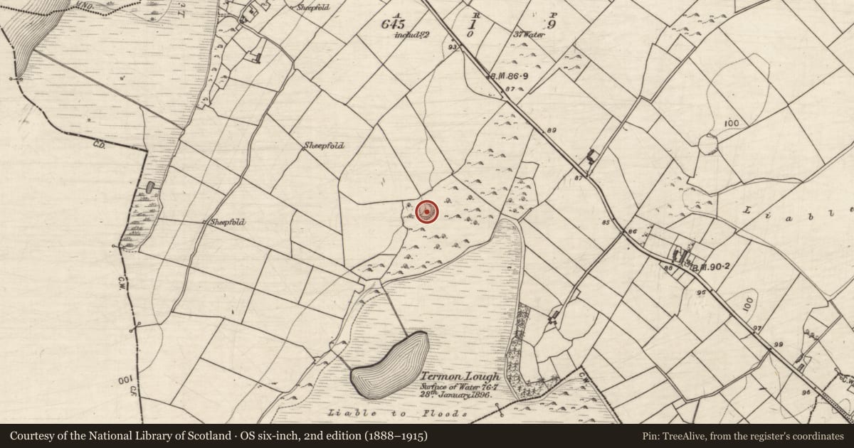 Ordnance Survey six-inch map, 2nd edition (1888–1915) covering the location of Ringfort - cashel, Termon, County Galway, with a pin at the register's coordinates