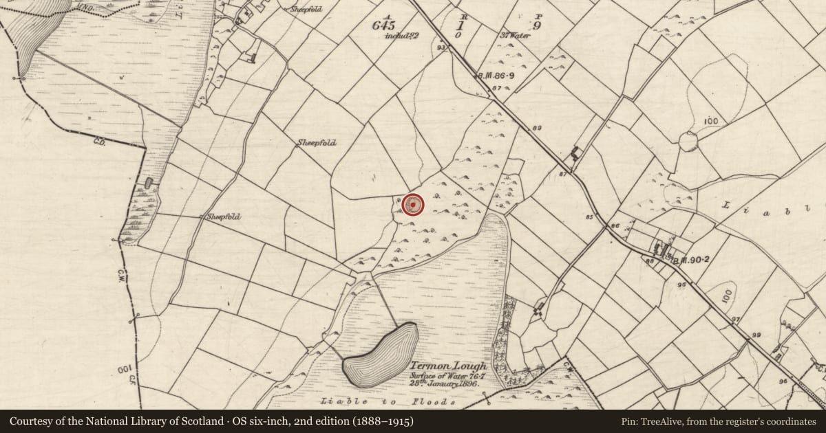 Ordnance Survey six-inch map, 2nd edition (1888–1915) covering the location of Souterrain, Termon, County Galway, with a pin at the register's coordinates
