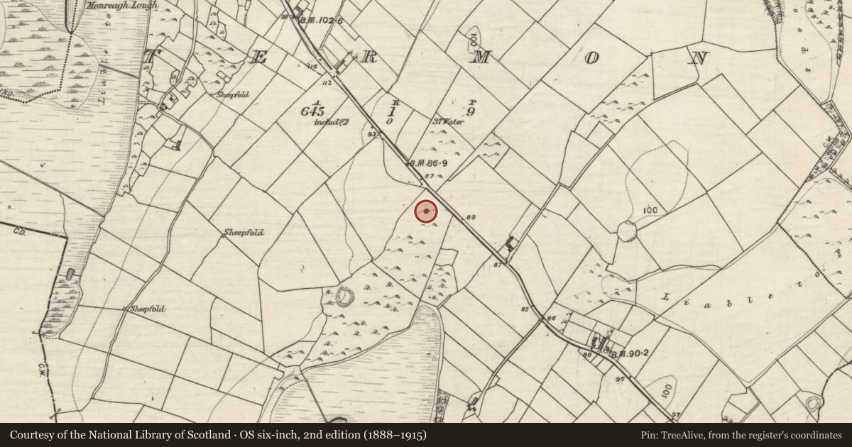 Ordnance Survey six-inch map, 2nd edition (1888–1915) covering the location of Ringfort - cashel, Termon, County Galway, with a pin at the register's coordinates