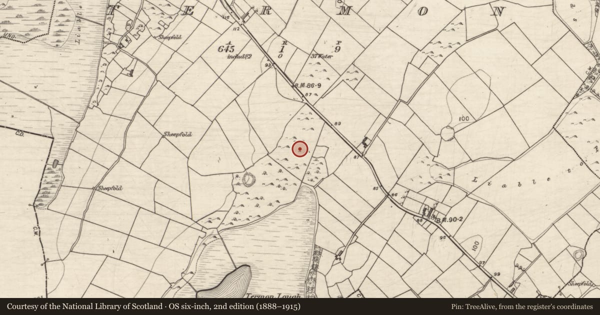 Ordnance Survey six-inch map, 2nd edition (1888–1915) covering the location of House - indeterminate date, Termon, County Galway, with a pin at the register's coordinates