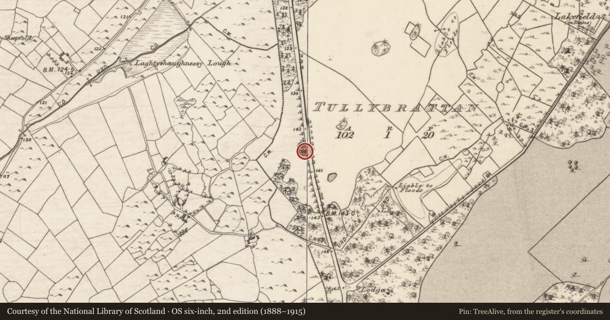 Ordnance Survey six-inch map, 2nd edition (1888–1915) covering the location of Children's burial ground, Tullybrattan, County Galway, with a pin at the register's coordinates
