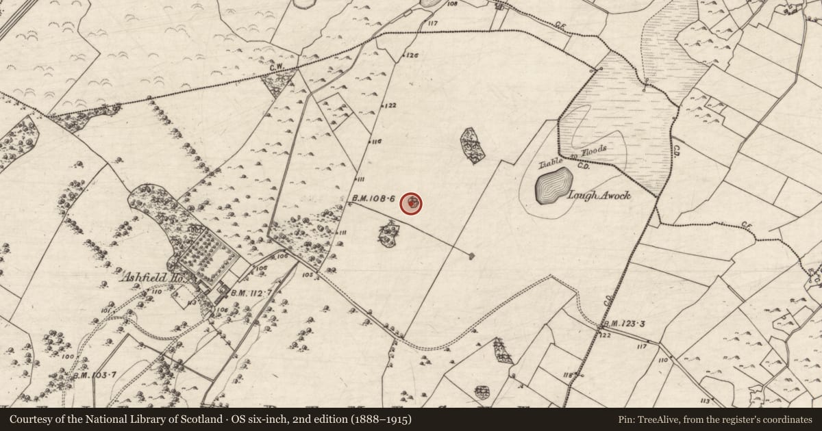 Ordnance Survey six-inch map, 2nd edition (1888–1915) covering the location of Designed landscape - tree-ring, Ashfield Demesne, County Galway, with a pin at the register's coordinates