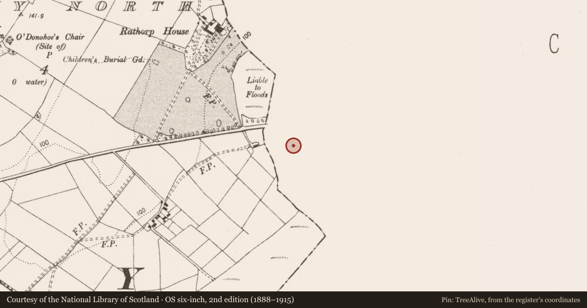 Ordnance Survey six-inch map, 2nd edition (1888–1915) covering the location of Fulacht fia, Fiddaun, County Galway, with a pin at the register's coordinates