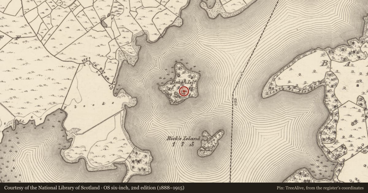 Ordnance Survey six-inch map, 2nd edition (1888–1915) covering the location of Church, Beagh Island, County Galway, with a pin at the register's coordinates