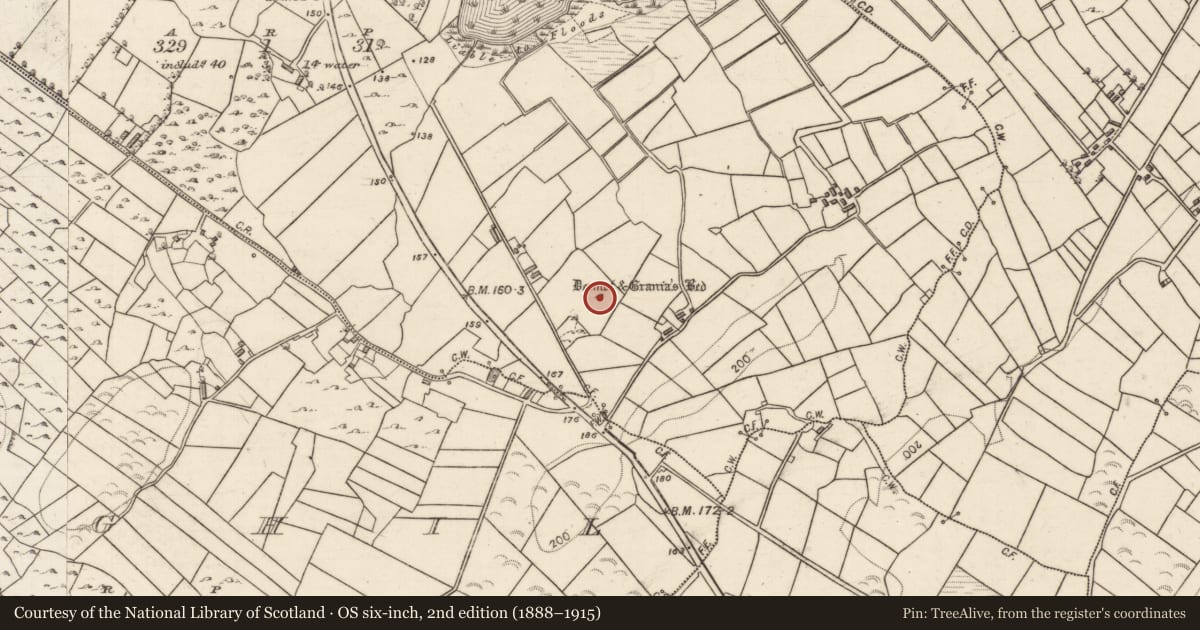 Ordnance Survey six-inch map, 2nd edition (1888–1915) covering the location of Megalithic tomb - wedge tomb, Derrycallan North, County Galway, with a pin at the register's coordinates