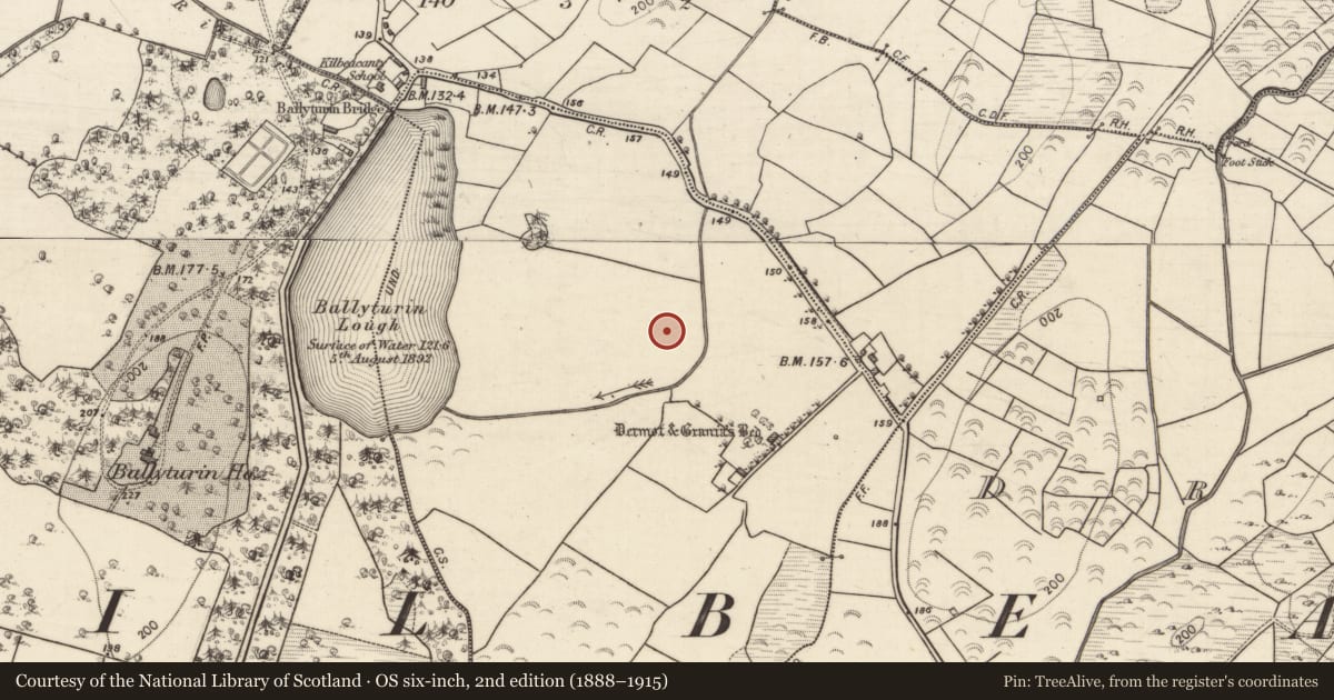 Ordnance Survey six-inch map, 2nd edition (1888–1915) covering the location of Ringfort - unclassified, Kilcrimple, County Galway, with a pin at the register's coordinates