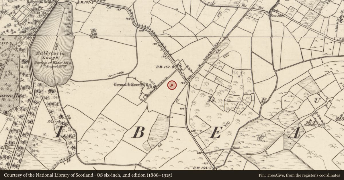 Ordnance Survey six-inch map, 2nd edition (1888–1915) covering the location of Megalithic tomb - wedge tomb, Kilcrimple, County Galway, with a pin at the register's coordinates