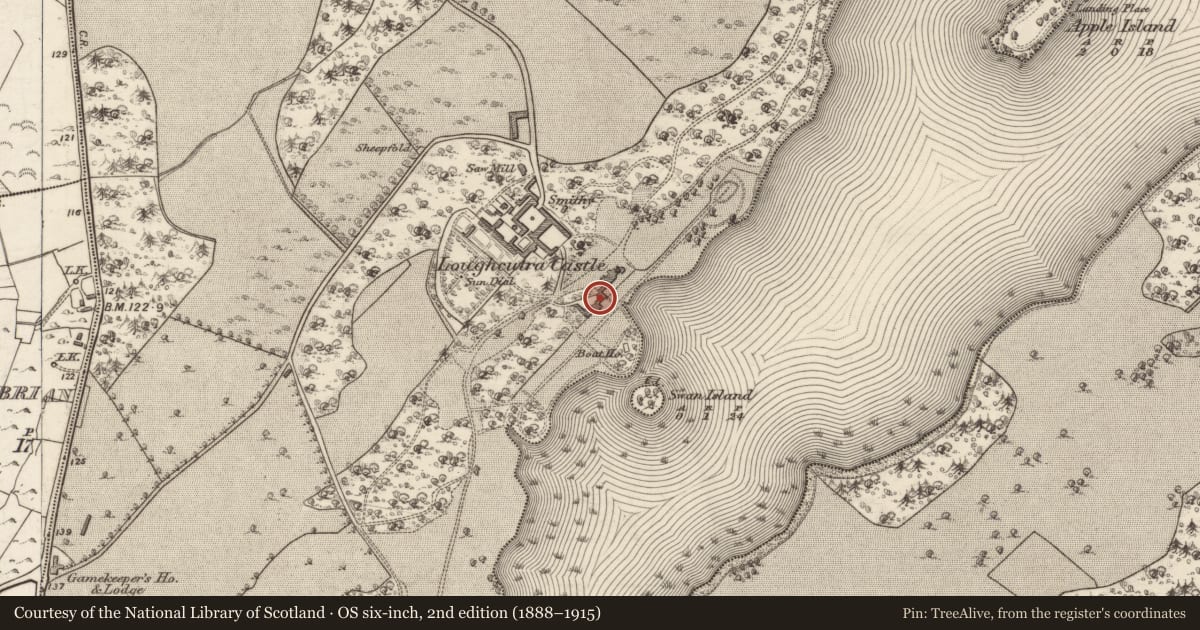 Ordnance Survey six-inch map, 2nd edition (1888–1915) covering the location of Country house, Lough Cutra Demesne, County Galway, with a pin at the register's coordinates