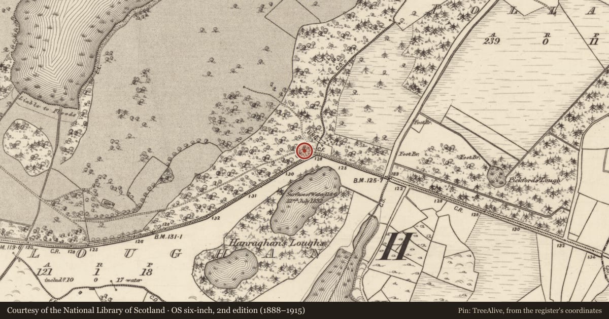 Ordnance Survey six-inch map, 2nd edition (1888–1915) covering the location of Gate lodge, Lough Cutra Demesne, County Galway, with a pin at the register's coordinates