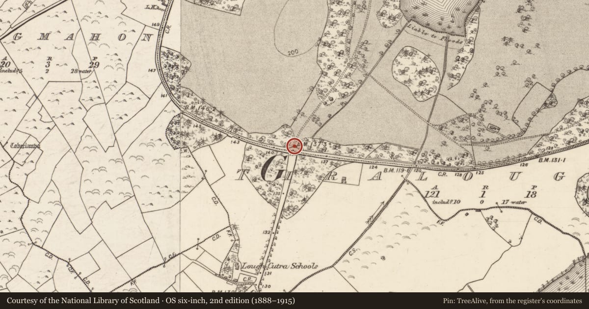 Ordnance Survey six-inch map, 2nd edition (1888–1915) covering the location of Gate lodge, Lough Cutra Demesne, County Galway, with a pin at the register's coordinates
