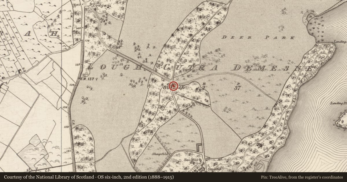 Ordnance Survey six-inch map, 2nd edition (1888–1915) covering the location of Gate lodge, Lough Cutra Demesne, County Galway, with a pin at the register's coordinates