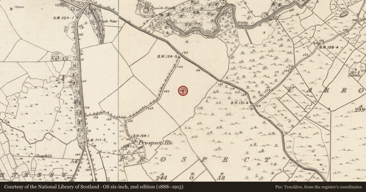 Ordnance Survey six-inch map, 2nd edition (1888–1915) covering the location of Enclosure, Prospect, County Galway, with a pin at the register's coordinates