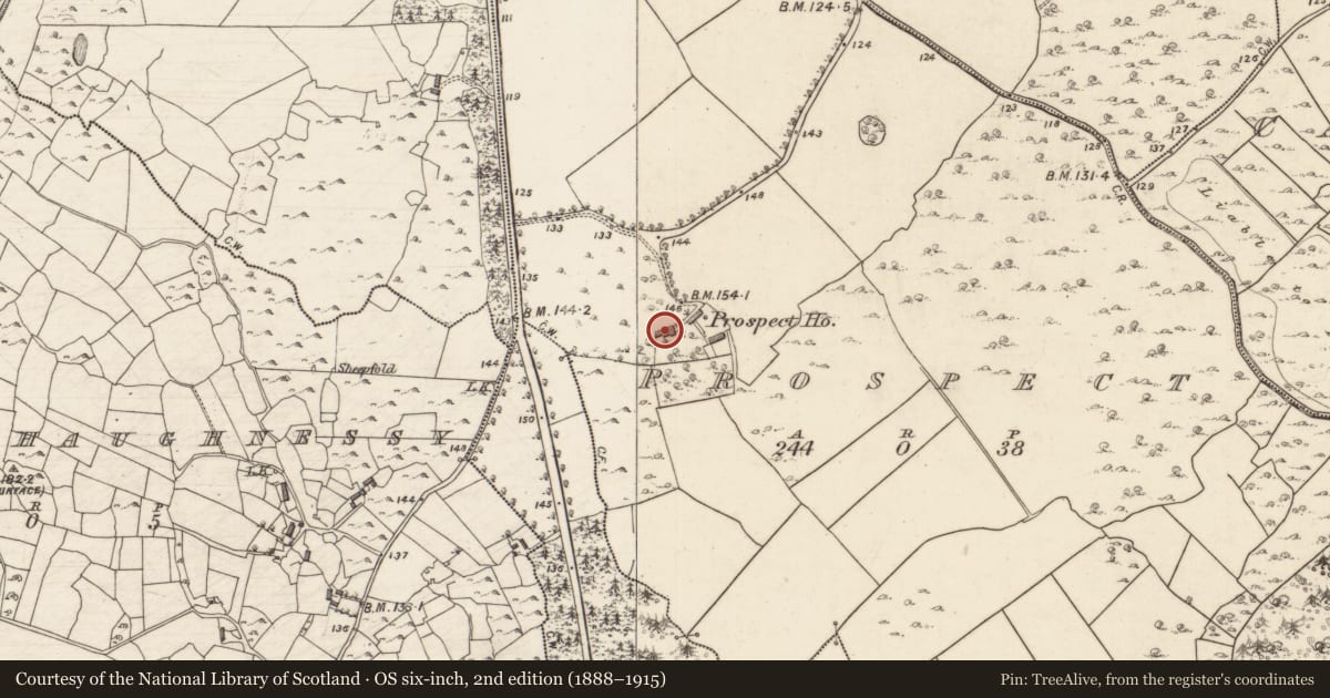 Ordnance Survey six-inch map, 2nd edition (1888–1915) covering the location of Country house, Prospect, County Galway, with a pin at the register's coordinates