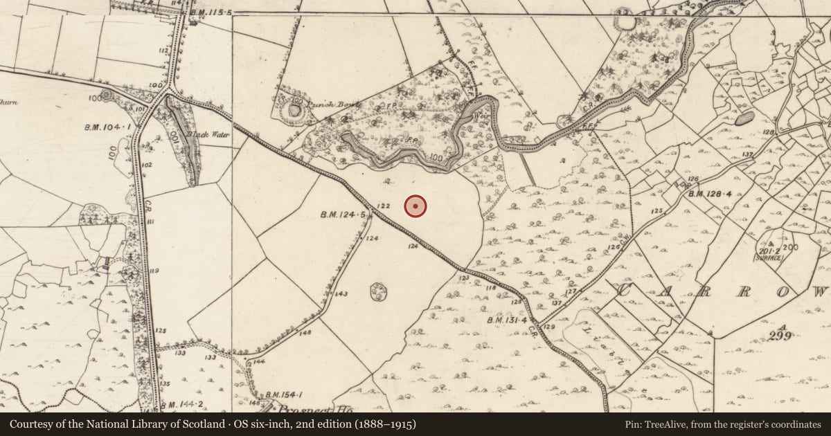 Ordnance Survey six-inch map, 2nd edition (1888–1915) covering the location of Enclosure, Rindifin, County Galway, with a pin at the register's coordinates
