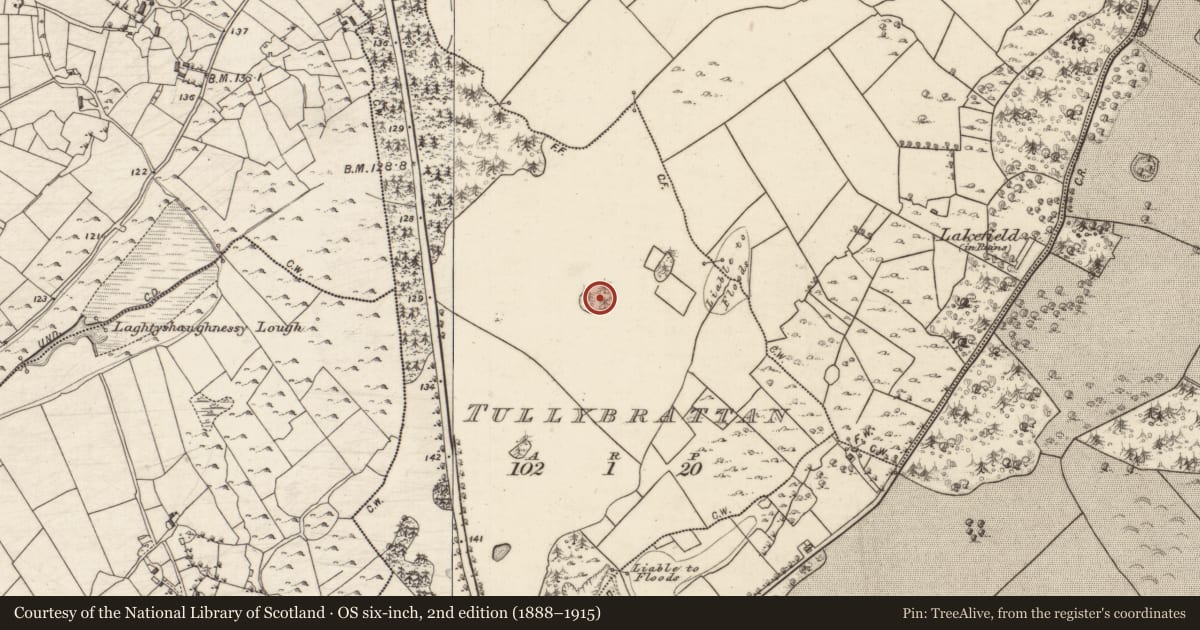 Ordnance Survey six-inch map, 2nd edition (1888–1915) covering the location of Designed landscape - tree-ring, Tullybrattan, County Galway, with a pin at the register's coordinates